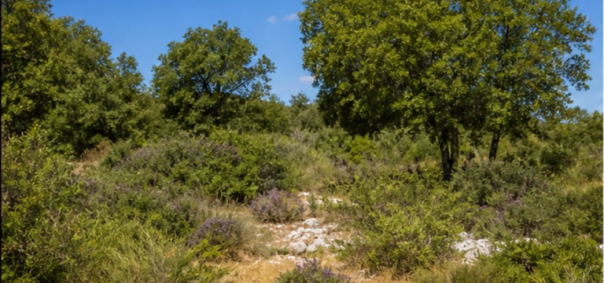 Terrain de garrigue mediterraneenne Cevennes à Ales — photo 1