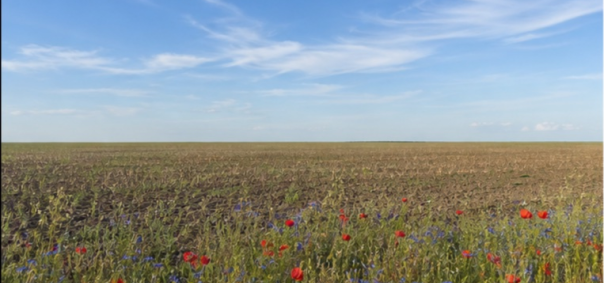 Terre agricole en jachere plaine de Beauce à Chartres — photo 1