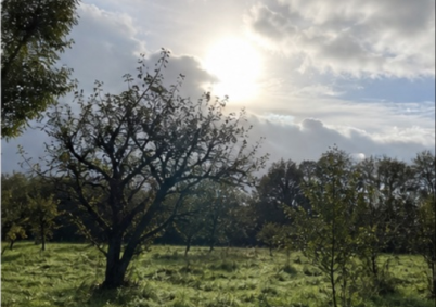 Terrain à louer à Tours — photo 5