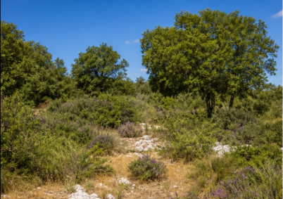 Terrain à louer à Ales — photo 1