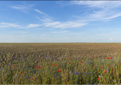 Terrain à louer à Chartres — photo 1