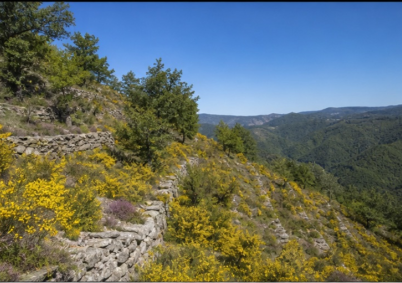 Terrain à louer à Lourdes — photo 1