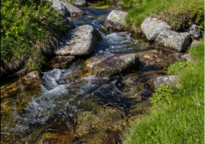 Terrain à louer à Tarbes — photo 3