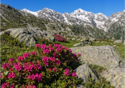 Terrain à louer à Tarbes — photo 4